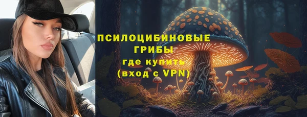 герыч Алексин