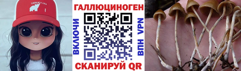 mega зеркало Николаевск Галлюциногенные грибы прущие грибы закладки