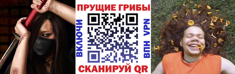 Псилоцибиновые грибы GOLDEN TEACHER Николаевск